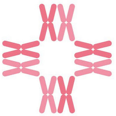 CK Birla Hospital logo