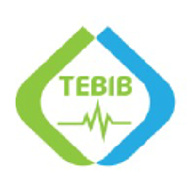 Ethio Tebib General Hospital logo